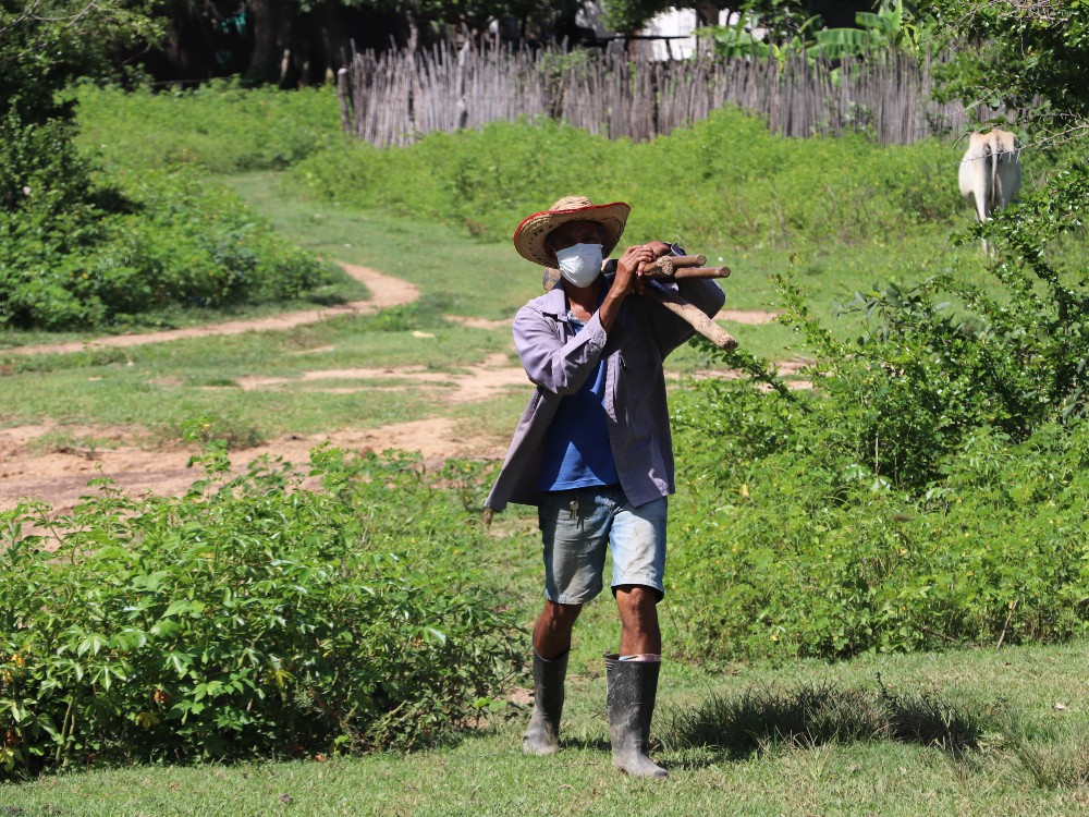 SEMPEGUA4 AGROSAVIA