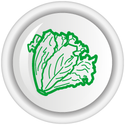Bioplaguicida TRICOTEC WG para el control de patógenos en los cultivos de tomate, lechuga, arroz y frutos rojos (Fresa, mora, frambuesa, arándanos, uva y brevo)