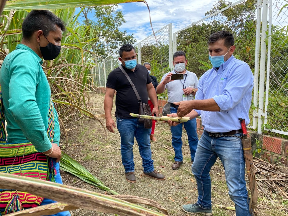 Sede Cimpa Apoya El Fortalecimiento3 AGROSAVIA