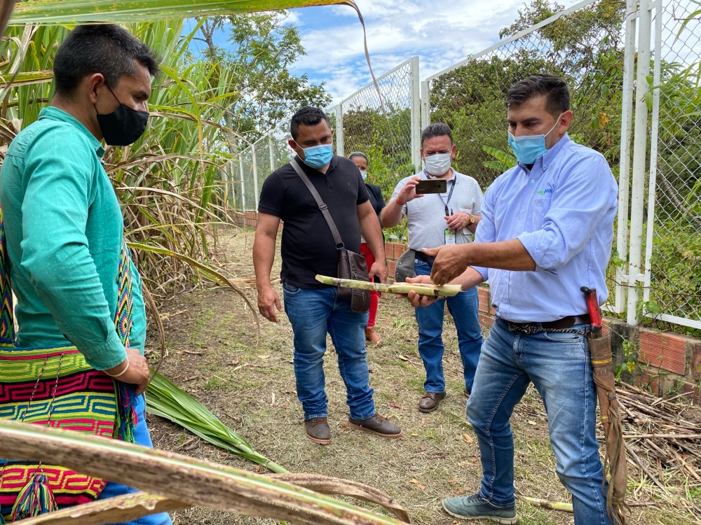 Sede Cimpa Apoya El Fortalecimiento3 AGROSAVIA