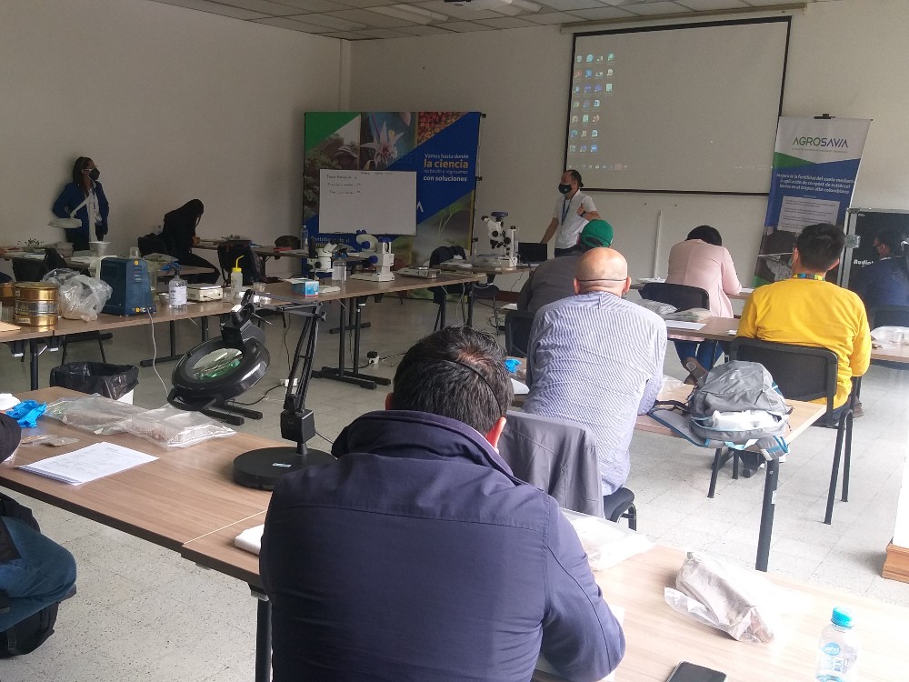 Formación En Producción De Semilla Sexual De Calidad4 AGROSAVIA