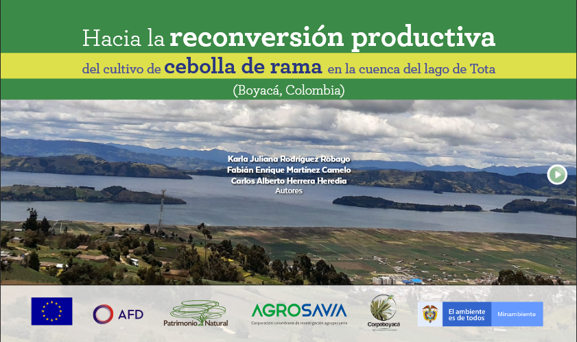 AGROSAVIA comprometida con la reconversión productiva del cultivo de cebolla de rama en la cuenca del lago de Tota