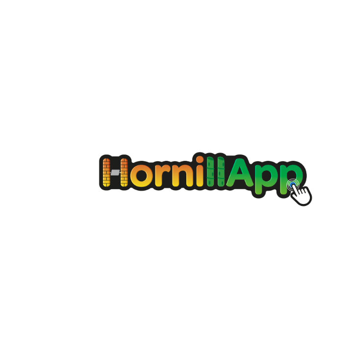 Sistema experto para el diseño estándar de hornillas térmicamente eficientes