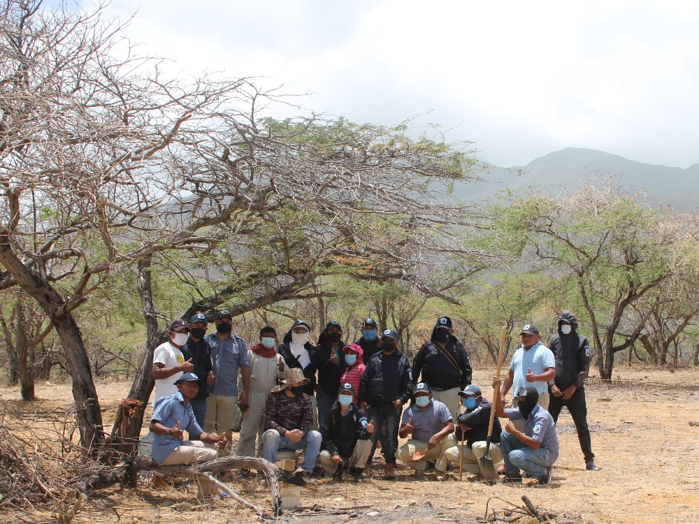 Comunidad Wayuu Jalein realiza una YANAMA para la siembra de Arreglo Silvopastoril