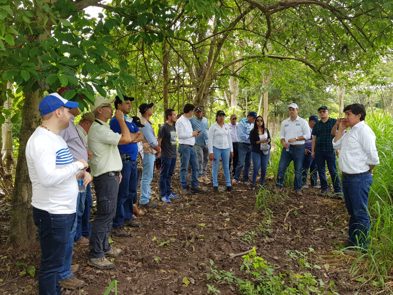 El programa israelí Megaleche visita Centro de Investigación Motilonia de AGROSAVIA