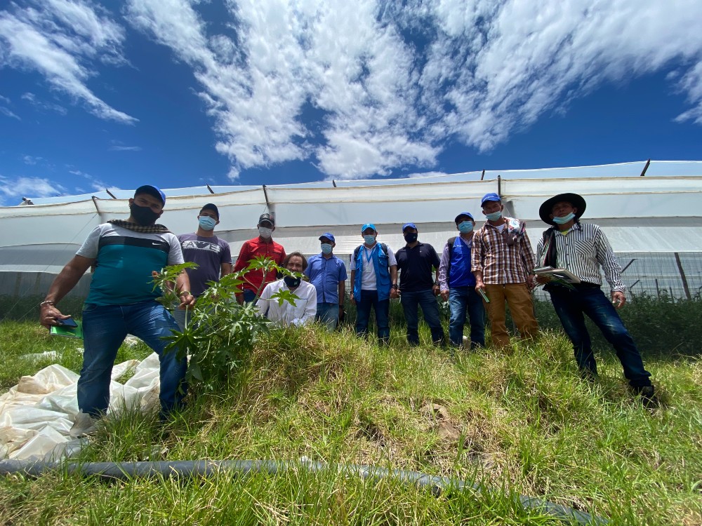 AGROSAVIA acompaña excombatientes para iniciar proyectos productivos