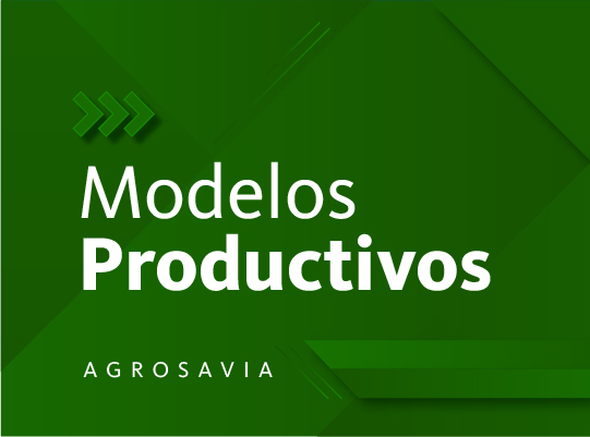 Modelos Productivos