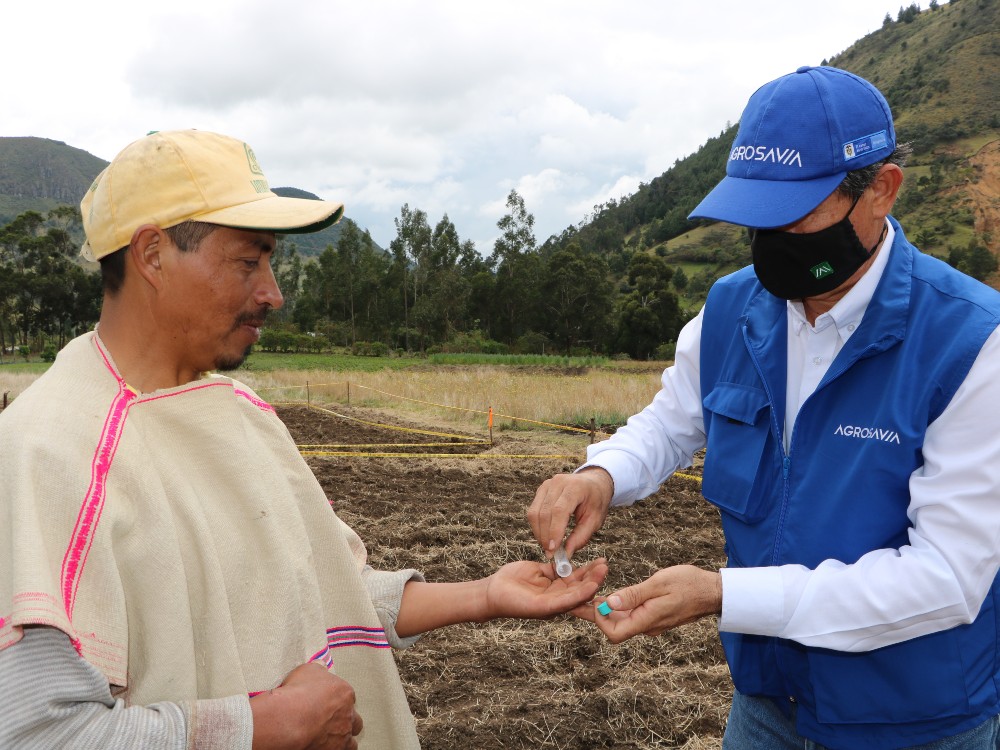 Lanzamiento Oficial Quinua 20213 AGROSAVIA