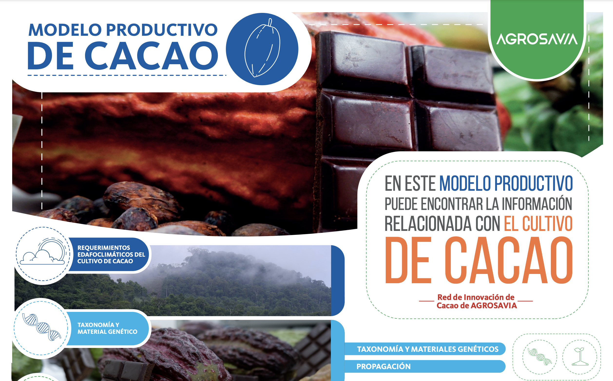 Poster Cacao