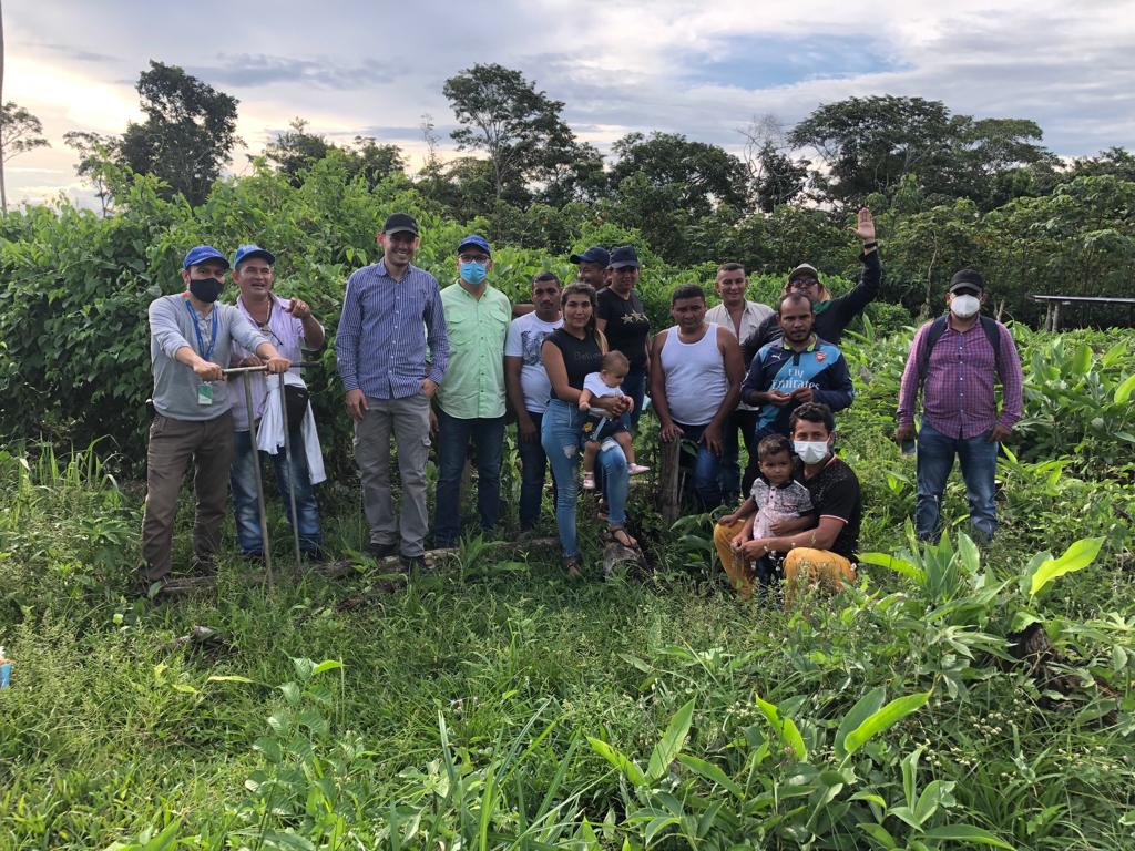 En Vista Hermosa, Meta, AGROSAVIA realizó el día de campo sobre sacha inchi en aspectos de suelos y manejo agronómico, evento organizado por la ARN