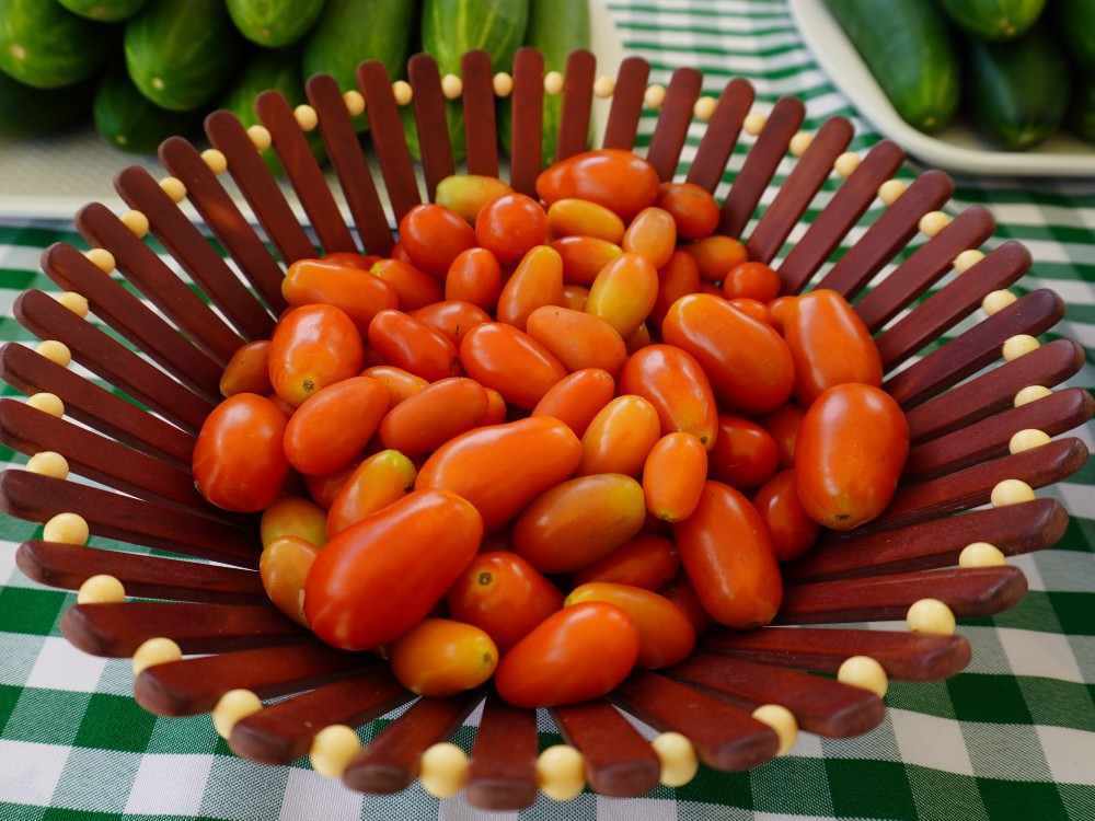 AGROSAVIA Presenta Alternativa Para Producir Hortalizas En Zonas De Altas Temperaturas3 AGROSAVIA