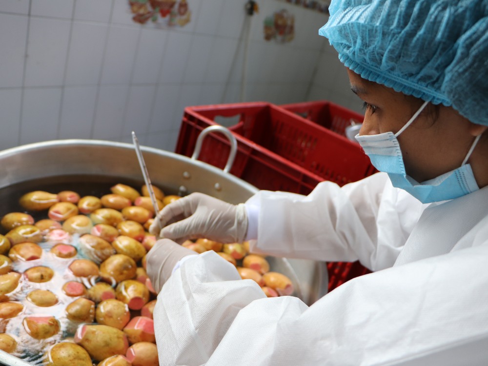 AGROSAVIA incentiva a los Jóvenes Rurales como protagonista del desarrollo agropecuario colombiano