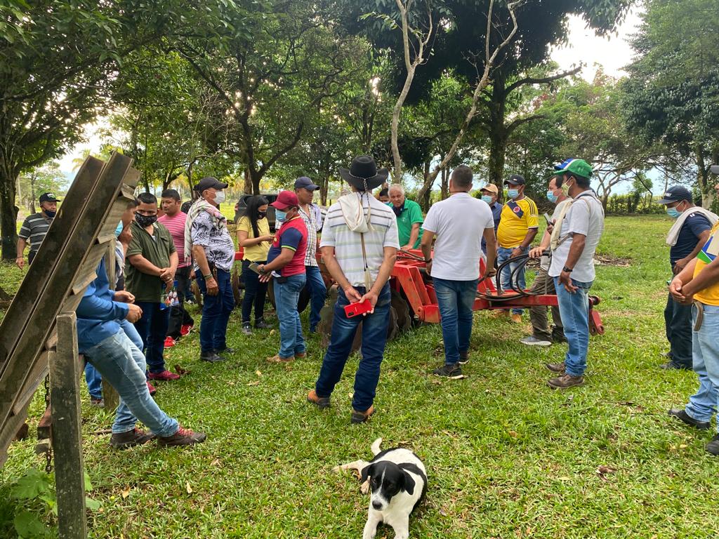 Curso pastos y forrajes en suelos ácidos de la Altillanura para reincorporados Alianza AGROSAVIA-ARN