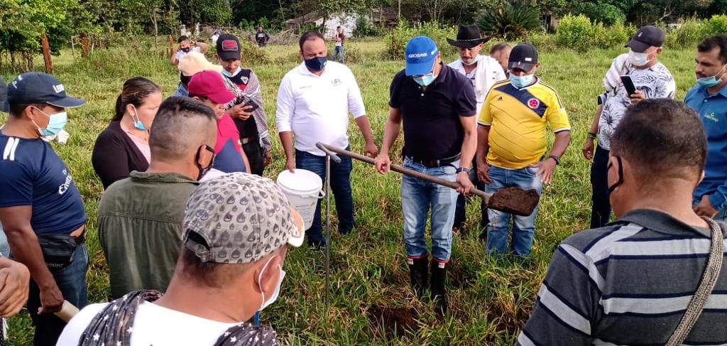 Curso De Pastos AGROSAVIA ARN3