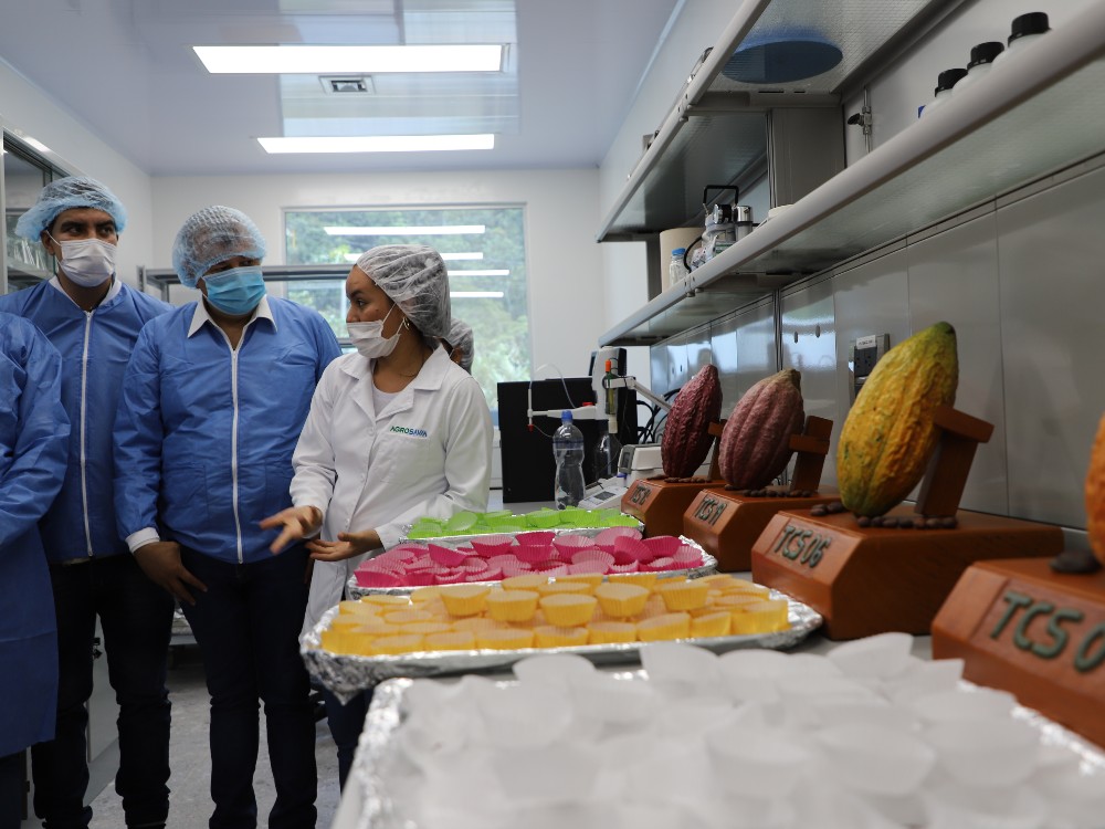 AGROSAVIA y Fedecacao unen esfuerzos por el sector cacaotero de Santander