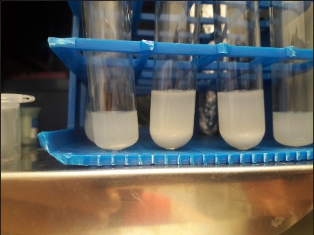Investigación Sobre Adición In Vitro De Melatonina Al Plasma Seminal Ovino7 AGROSAVIA