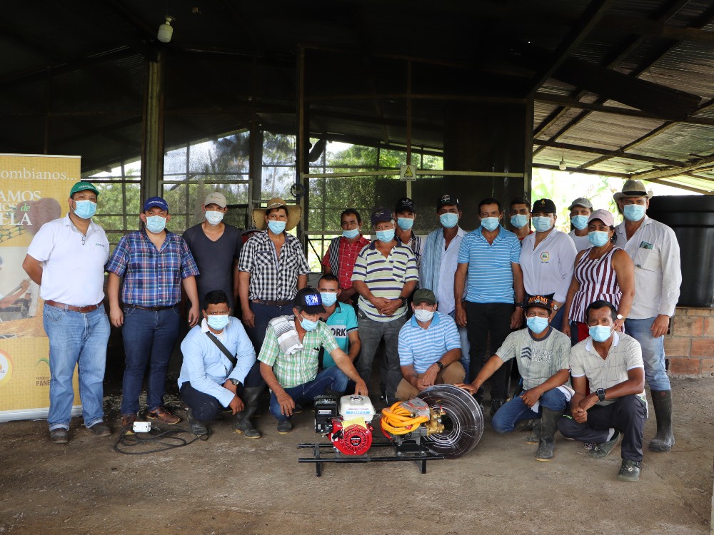 AGROSAVIA – Sede Florencia instala parcela de producción limpia semillas de caña