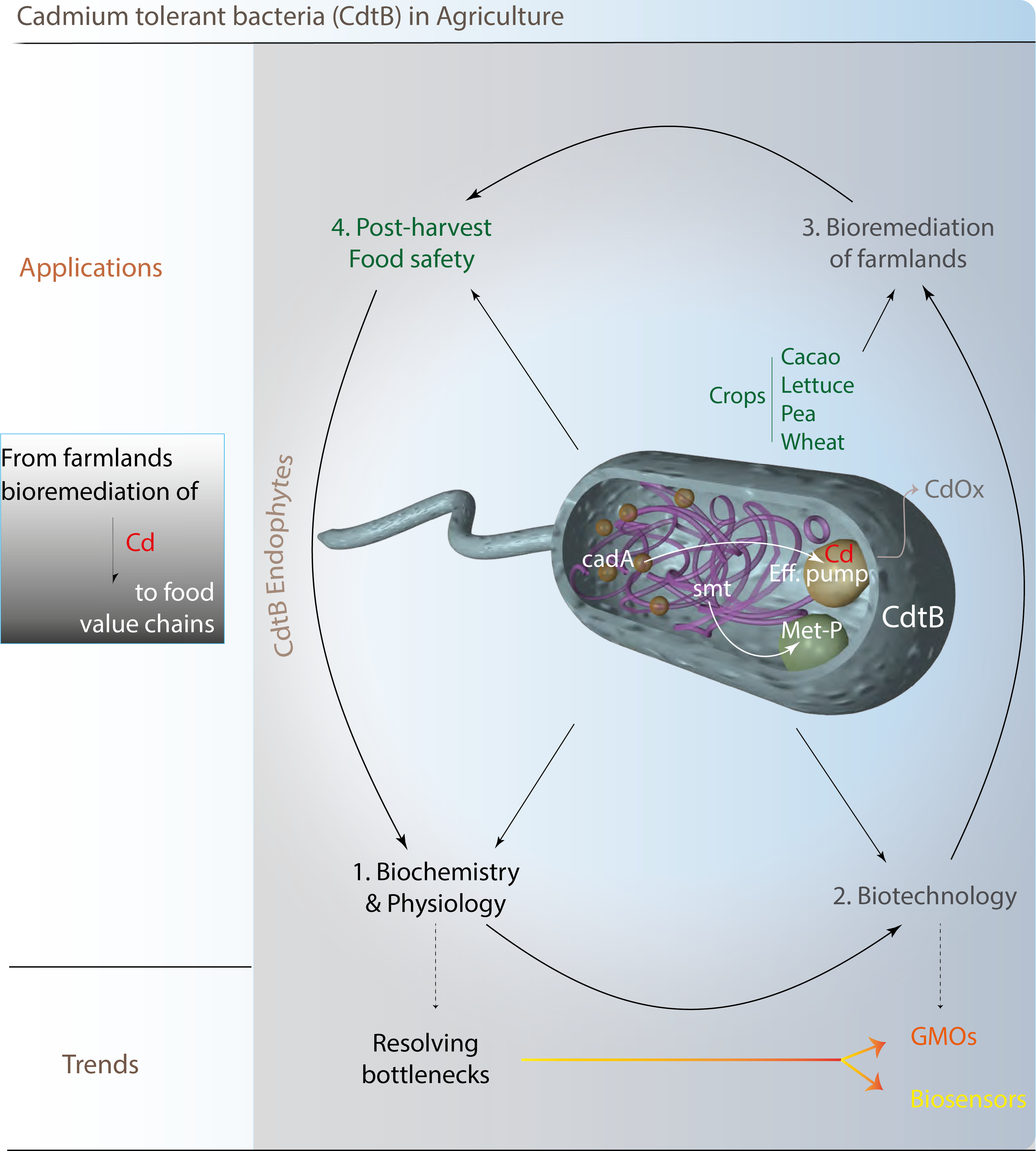 Graphical Abstract Cdtb Final