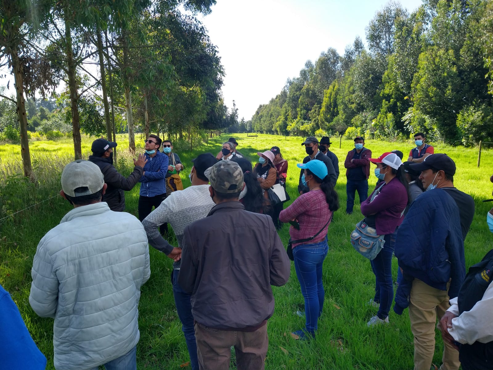 AGROSAVIA, Fundación Nutresa Y Fundación ANDI9