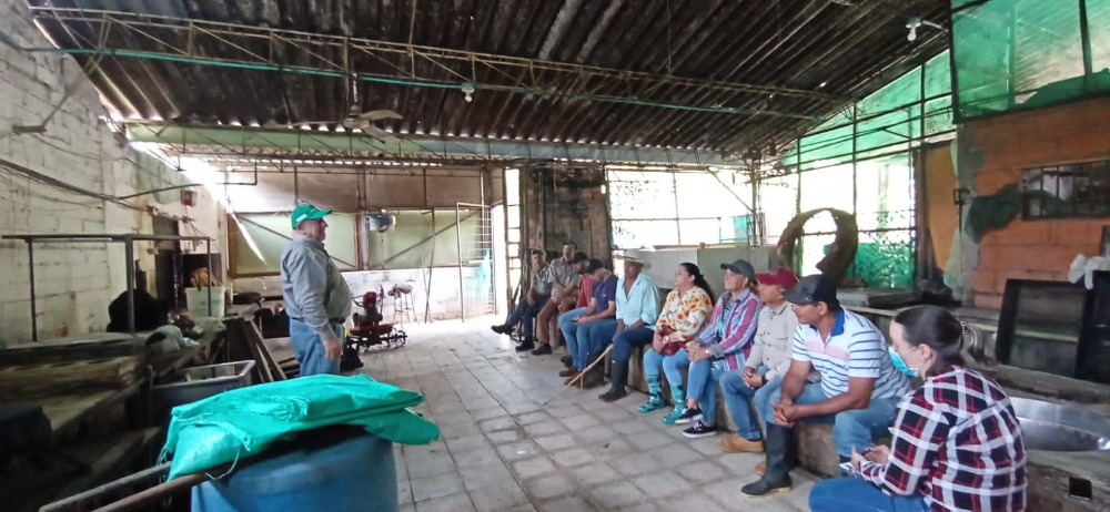 Capacitación Caña3 AGROSAVIA Def
