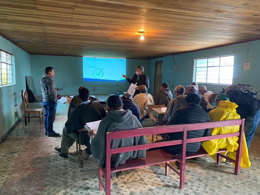 C&T agropecuaria para combatir y prevenir el complejo Punta Morada de la Papa