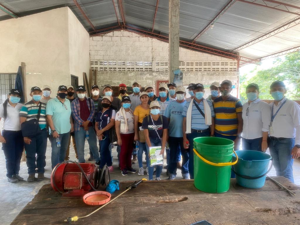 Erytec Cimitarra Santander Y CI La Libertad 6