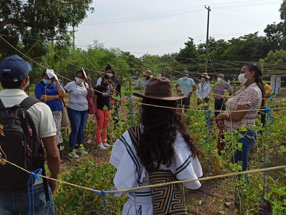 Premiación Kolfaci4 AGROSAVIA