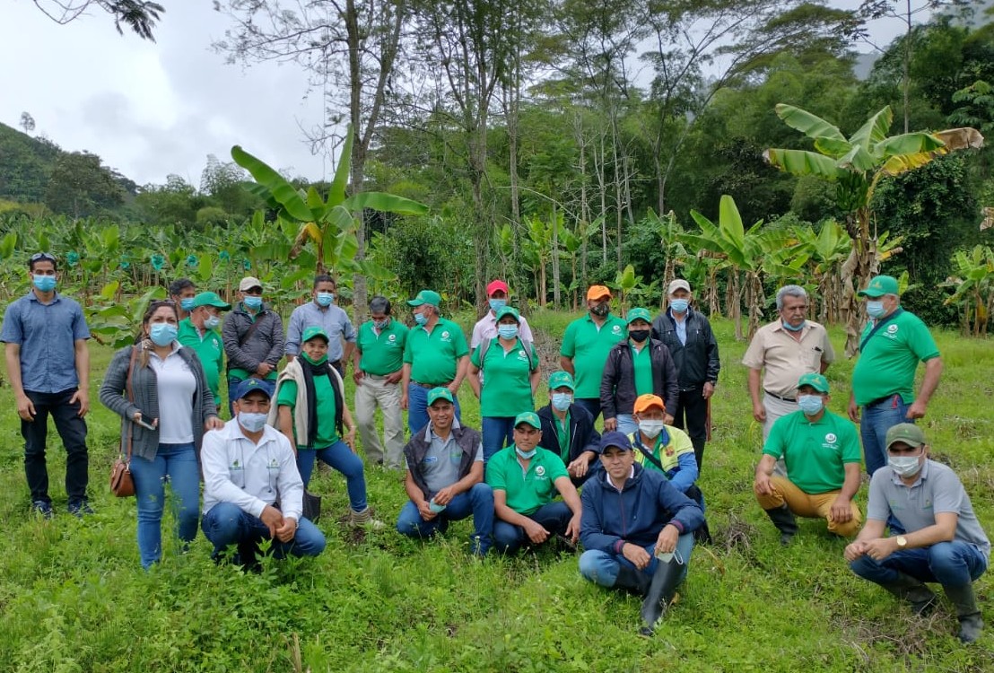 Más semillas, más tajadas y más patacones para el departamento del Huila