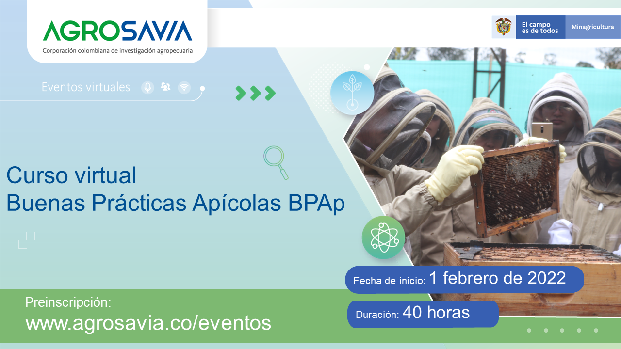Curso Virtual Bpap