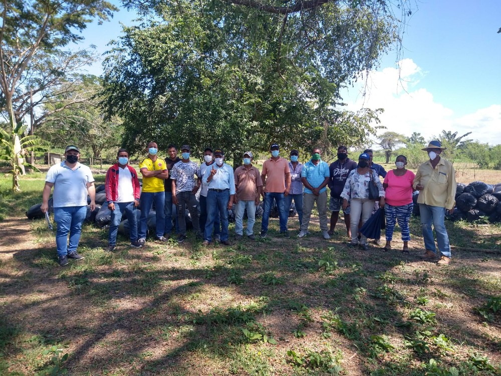 Entrega De Silo De Sorgo JJT 18 Y Maíz V114 A Productores Cooprocal De Campo De La Cruz AGROSAVIA