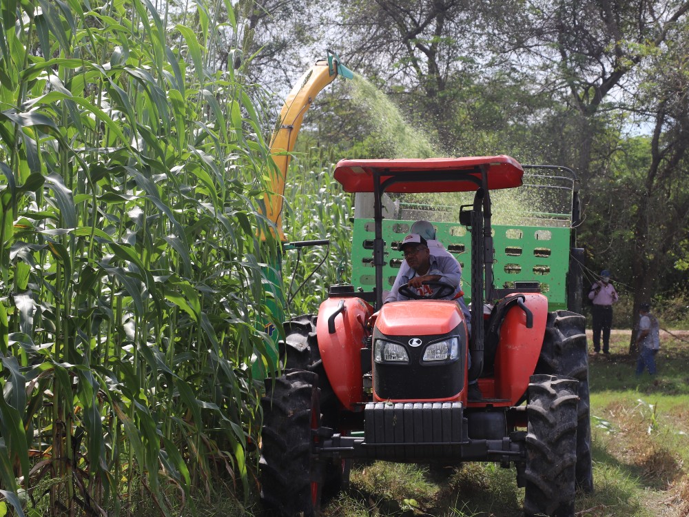 Maquinaria Corte Sorgo AGROSAVIA