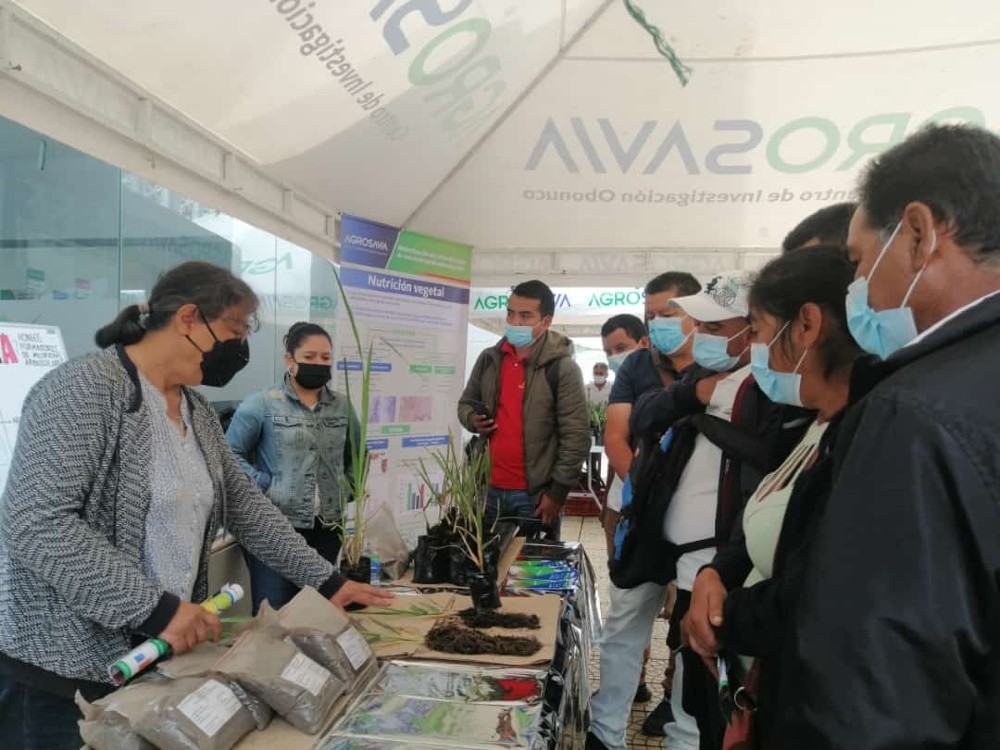 Fortaleciendo El Sector Panelero En Nariño De La Mano De Los Productores5 AGROSAVIA