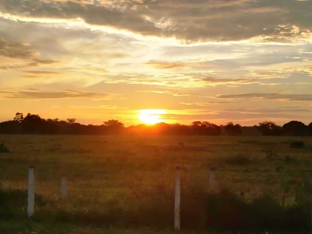 Se inició el Proyecto “Fortalecimiento de la articulación y gobernanza del Sistema Nacional de Innovación Agropecuaria en el departamento de Casanare”