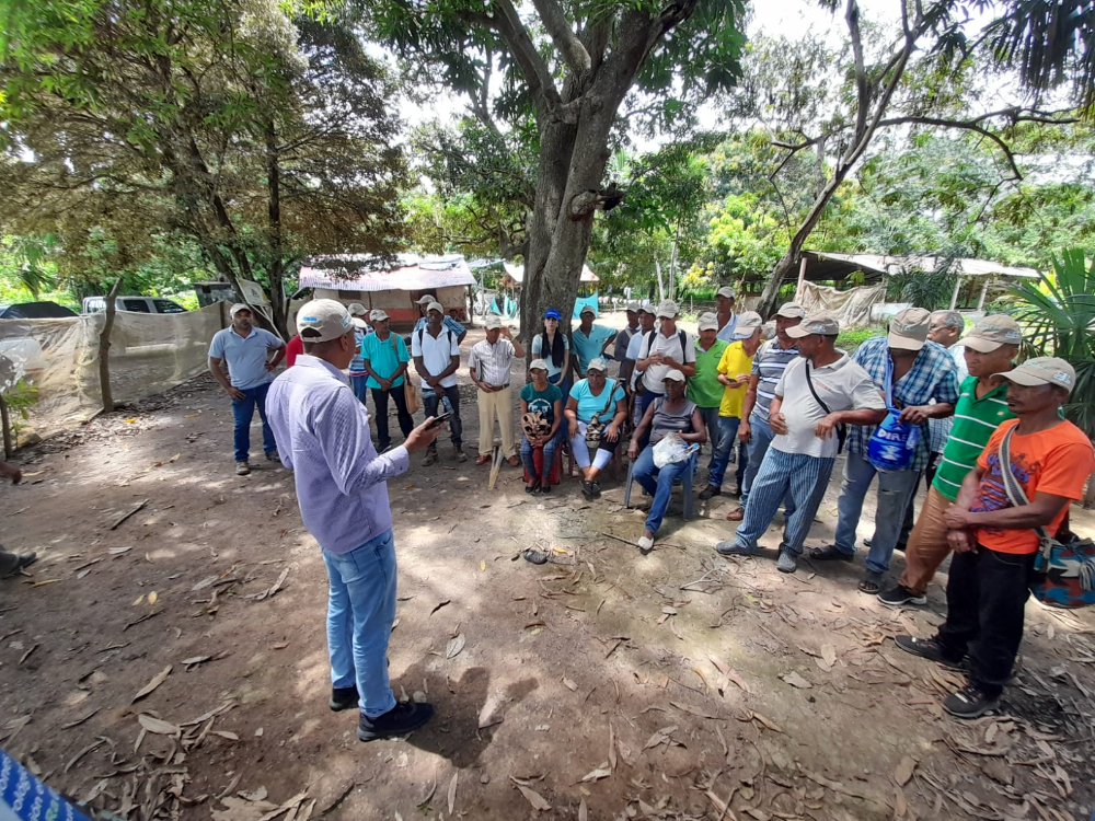 La FAO reconoce las contribuciones de AGROSAVIA