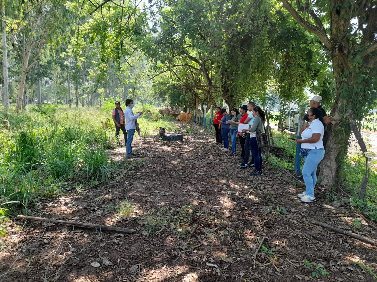 Diez Firmantes Del Acuerdo De Paz Conocen La Oferta Tecnológica De AGROSAVIA4