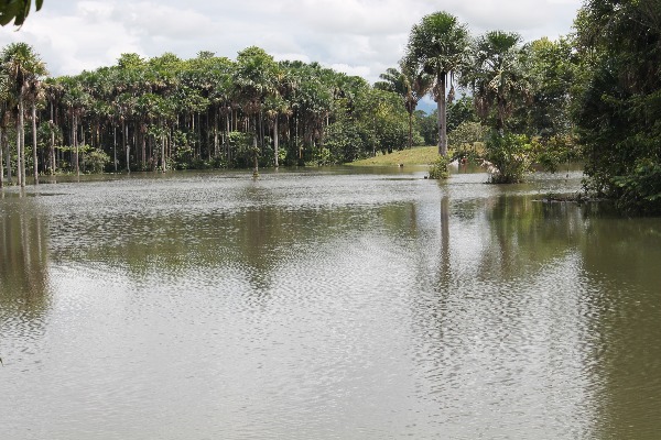 Lago La Libertad