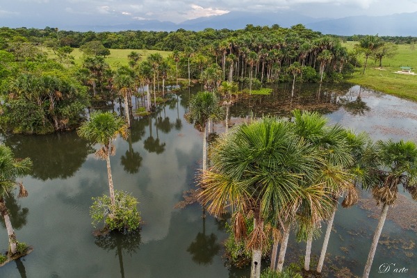 Lago En La Libertad