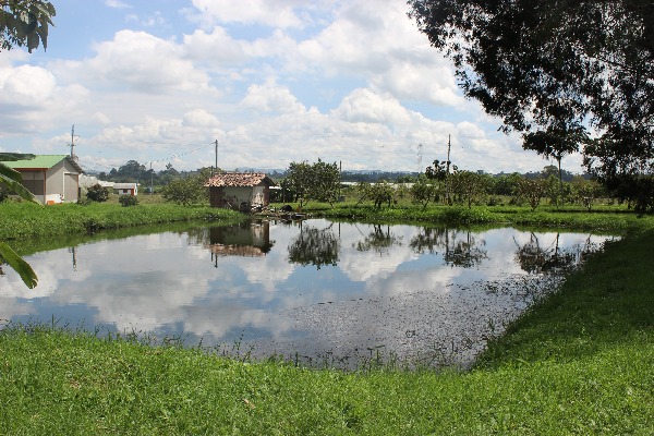 Espejo De Agua La Selva