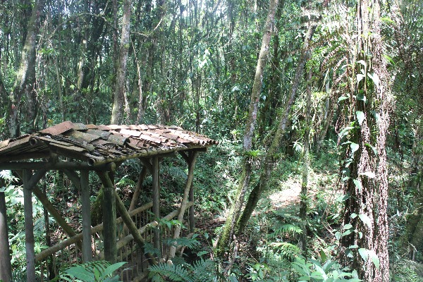 Sendero Ecológico La Selva