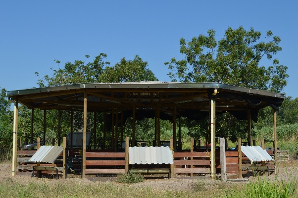 Comedor Ganado Motilonia