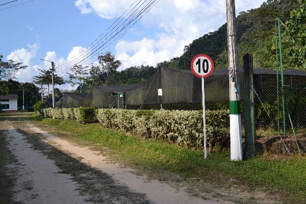 Campo La Suiza