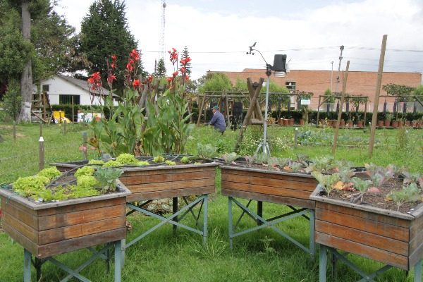 Agricultura Urbana Tibaitatá