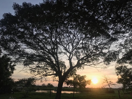 Atardecer Yopal