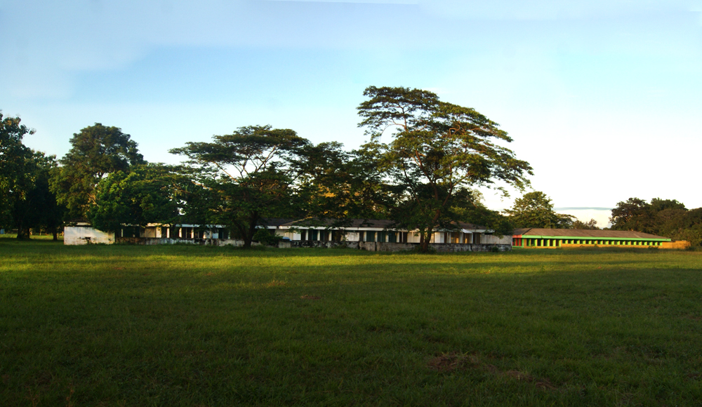 Centro de Investigación Carimagua de AGROSAVIA