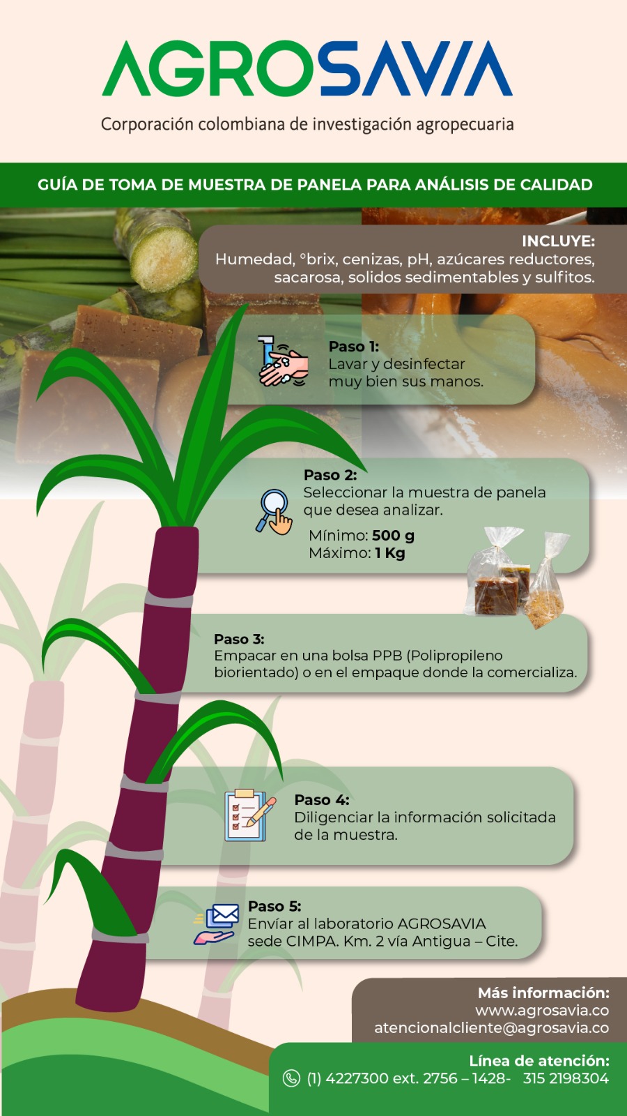Infografia Guia Toma Muestras Panela Para Analisis De Calidad