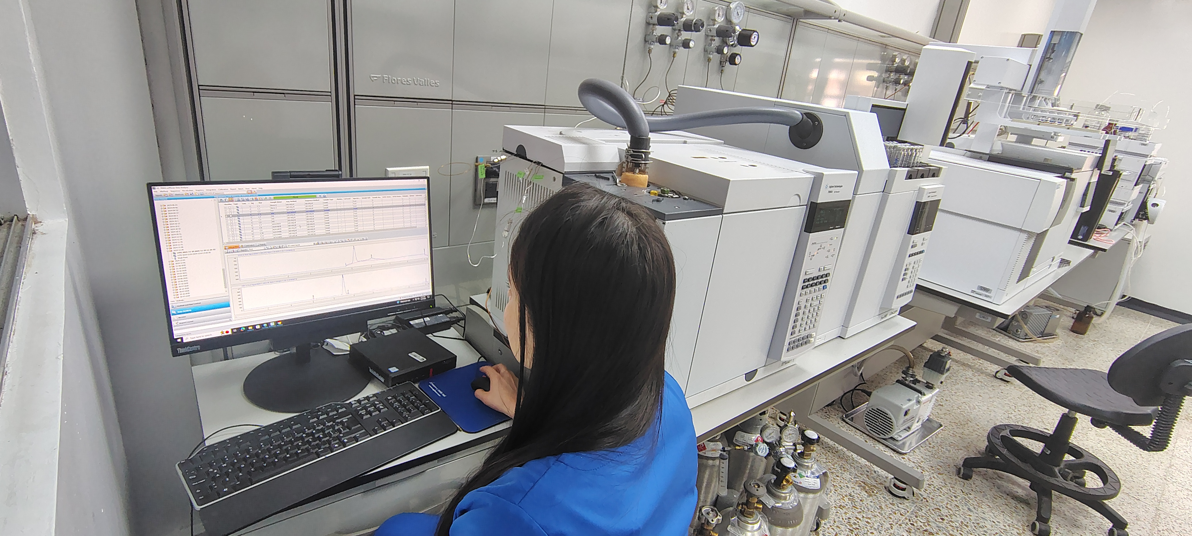 IMG 20241206 091609344 HDR