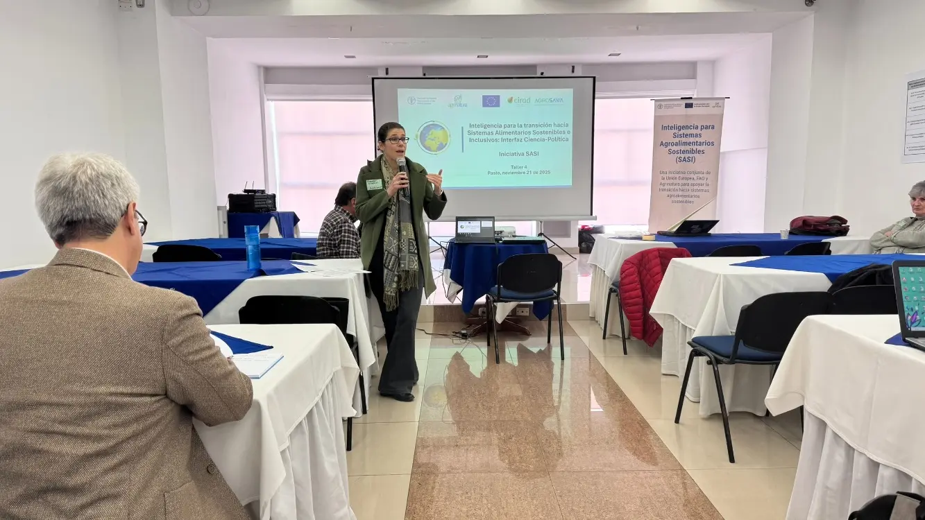 Fourth meeting of the SASi-SPi