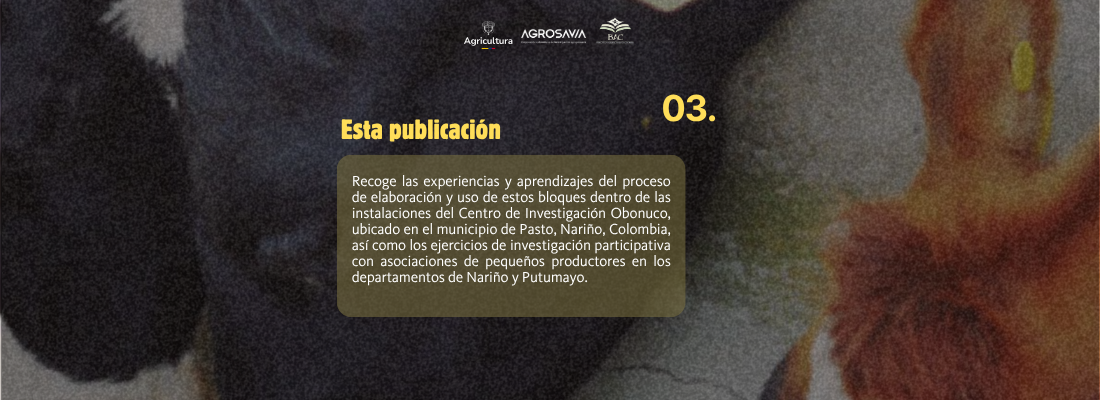 Bloques 4