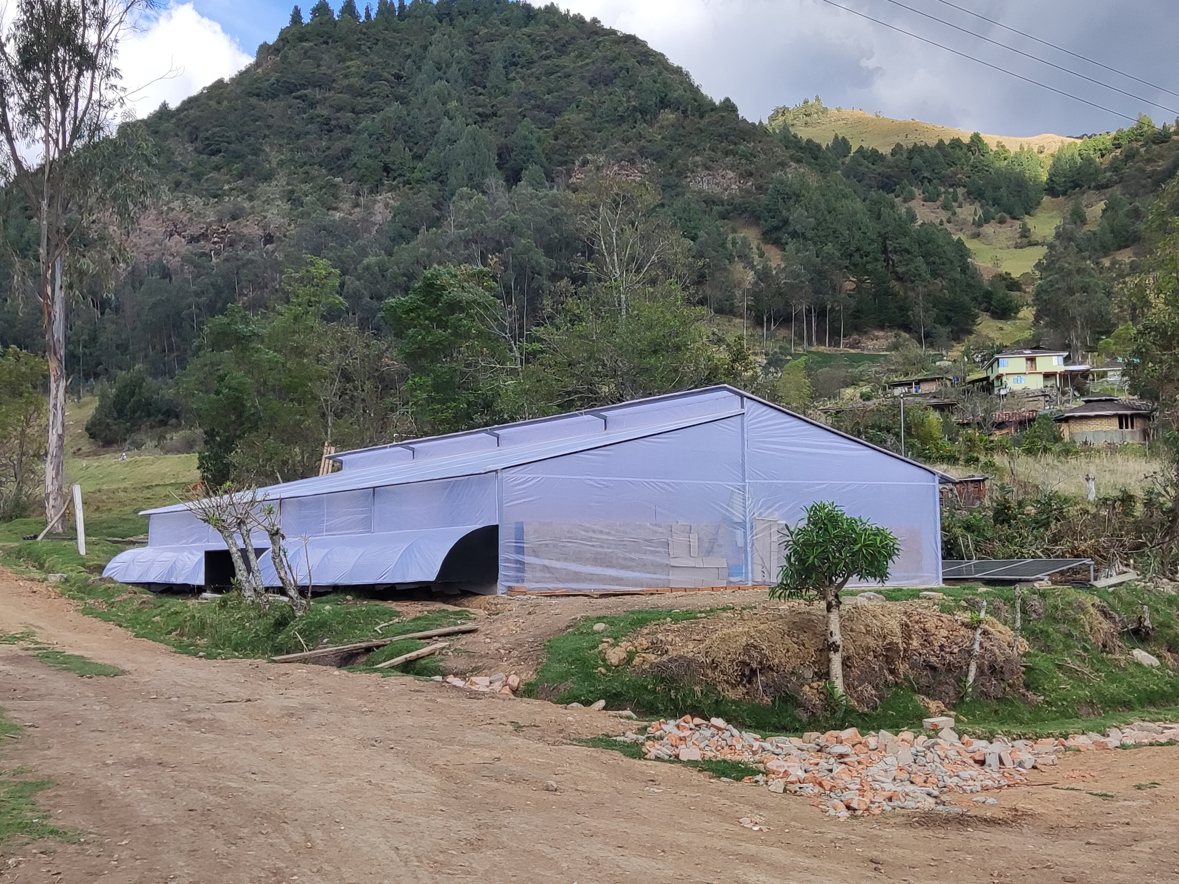 SQ 15 Jader Rodríguez