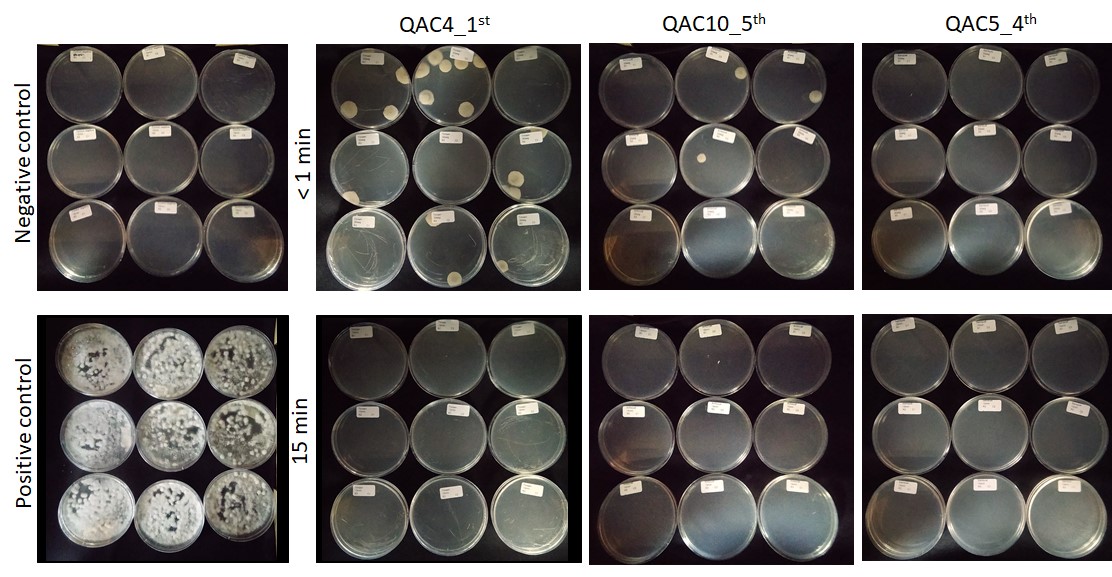 Evaluación in-vitro de desinfectantes frente a Fusarium oxysporum f sp. Cubense Raza 4 Tropical (Foc R4T)